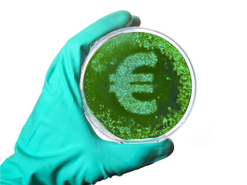Hand holding a petri dish with bacteria in the shape of a euro symbol.