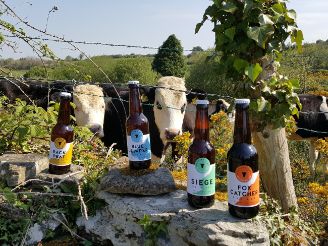 Beer bottles on a wall with cows behind it.