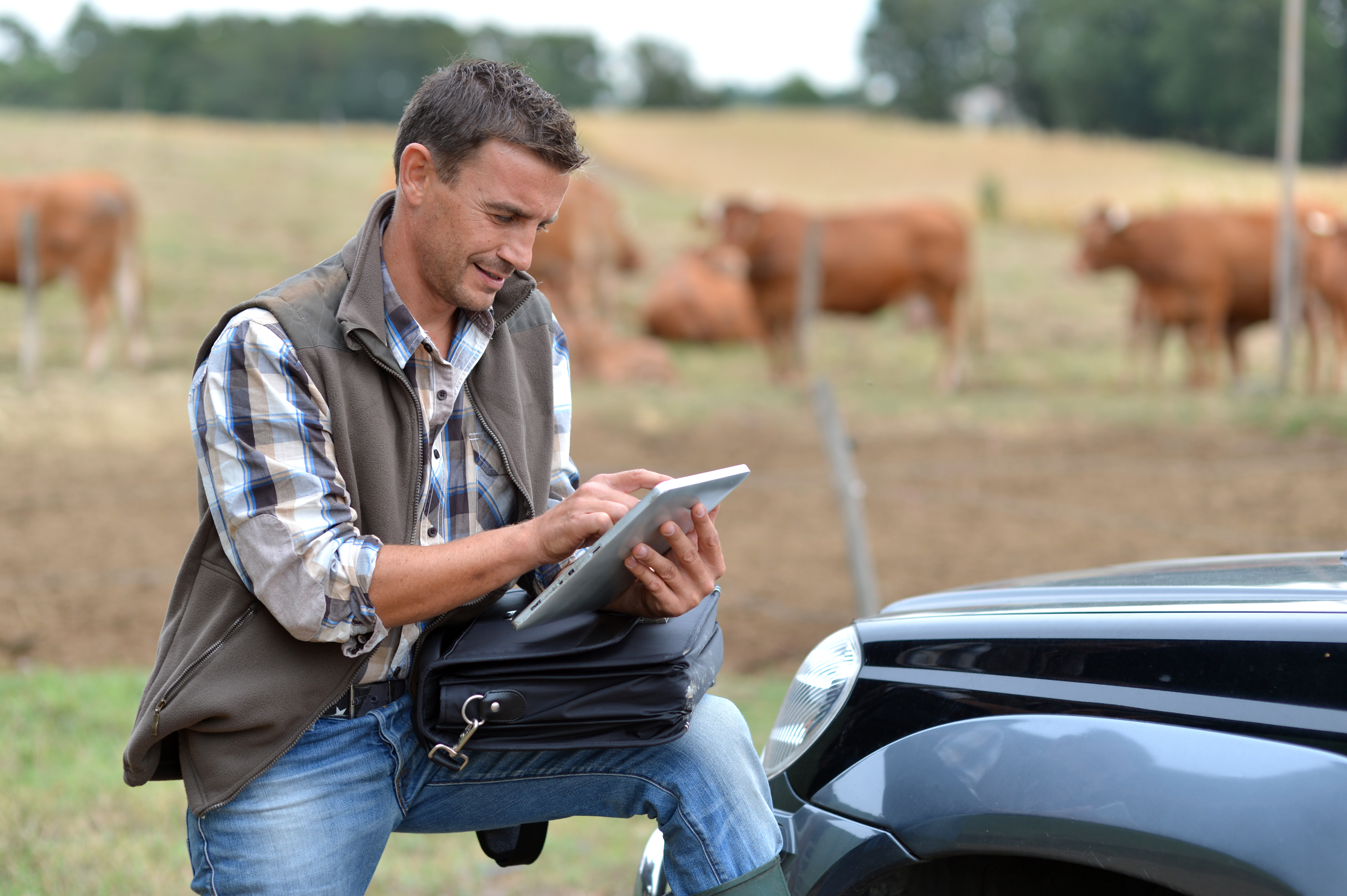 Farmer improving his website on an iPad