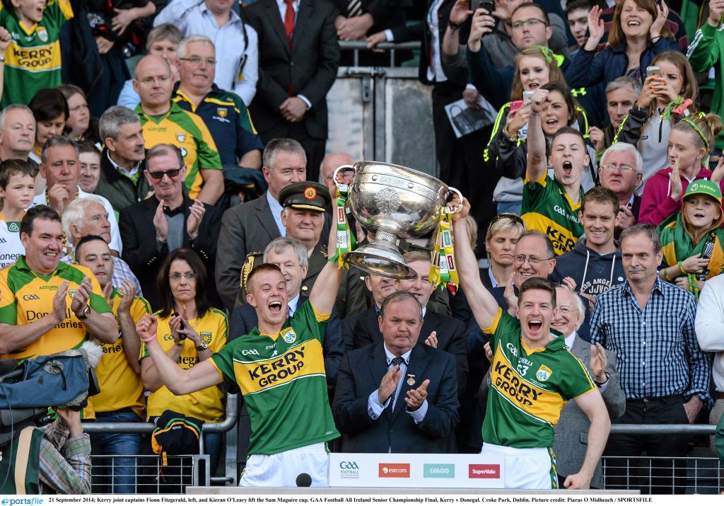 The 10 biggest Irish businesses Think Business