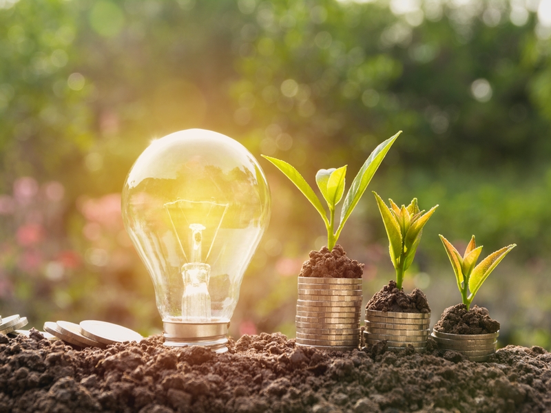 lightbulb planted in soil with coins and plants.