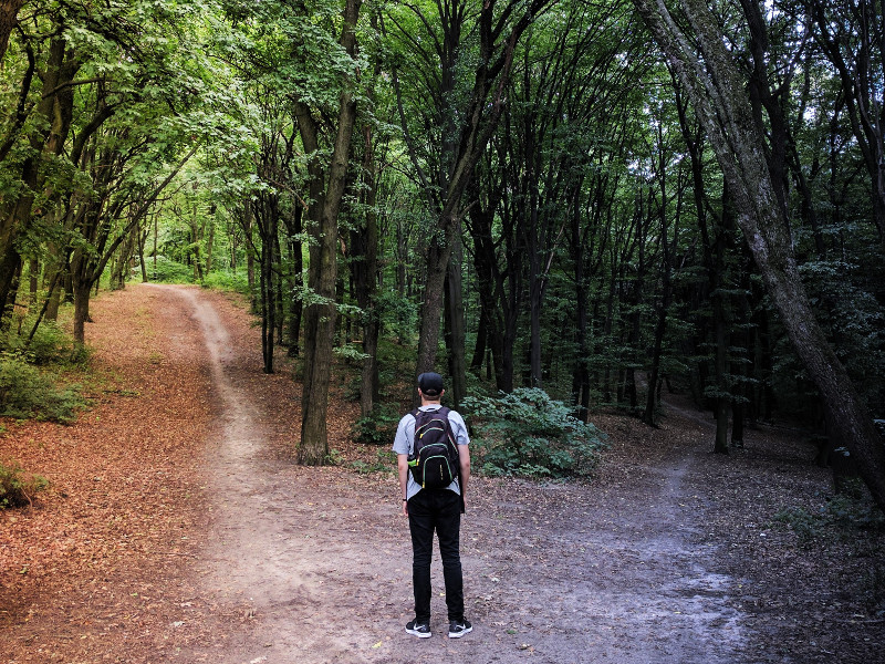 Man standing at two diverging paths in a wood.