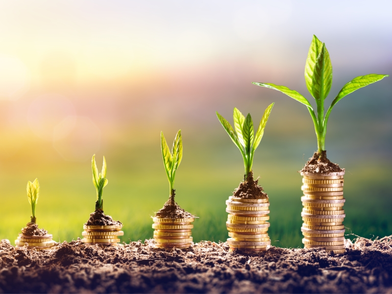 Image showing coins growing out of ground as plants.