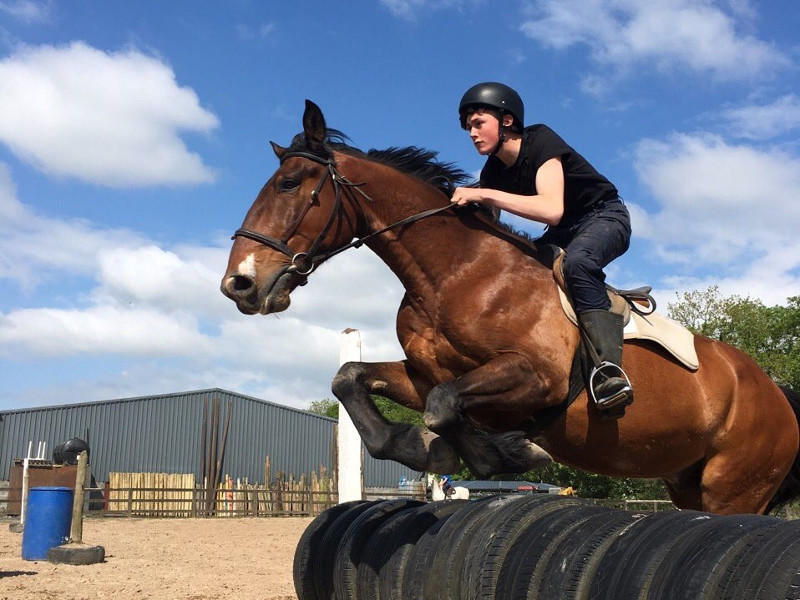 Young man on a horse leaping an obstacle.