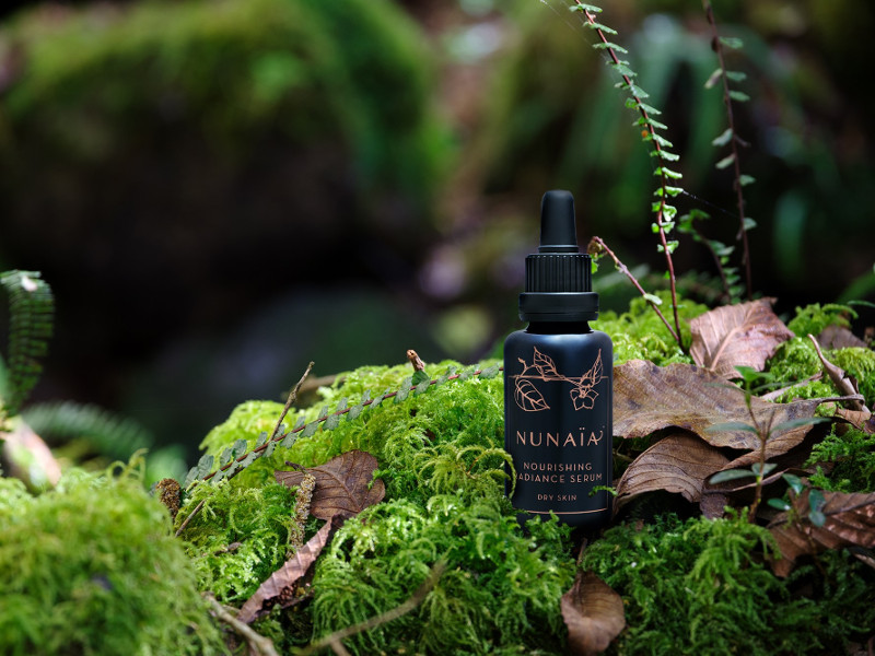 Black bottle with golden writing on a mossy rock in a forest.