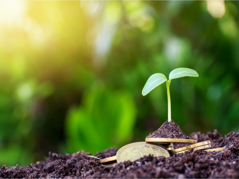 Image showing a plant growing out of soil surrounded by coins.