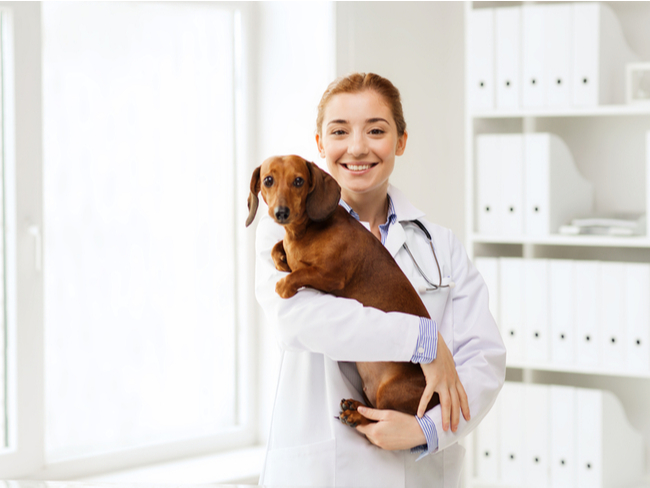young doctor holding a dog.