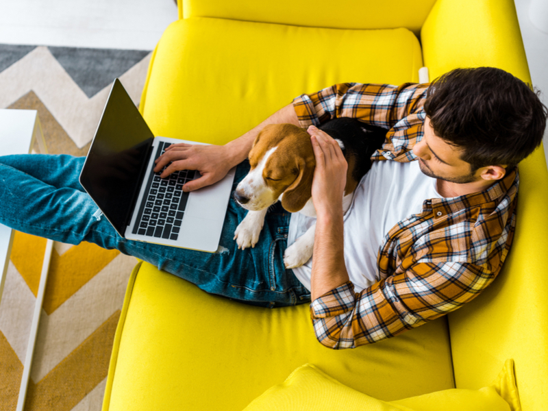 Man sitting on couch with laptop and dog.