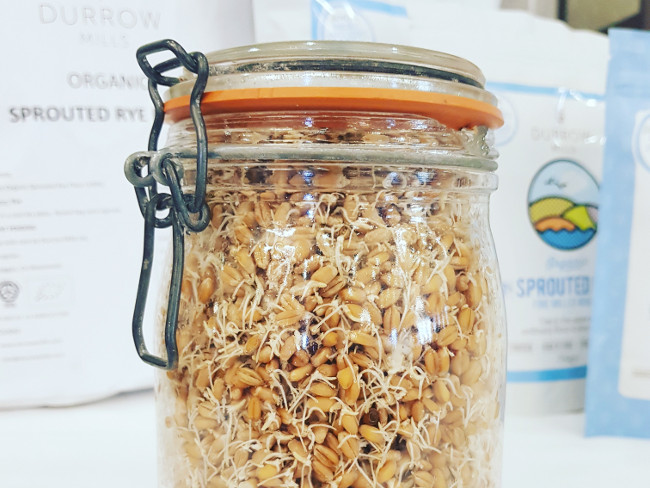 A jar containing sprouted grains.