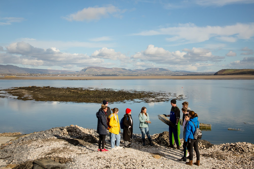People being briefed on oysters in Sligo bay.