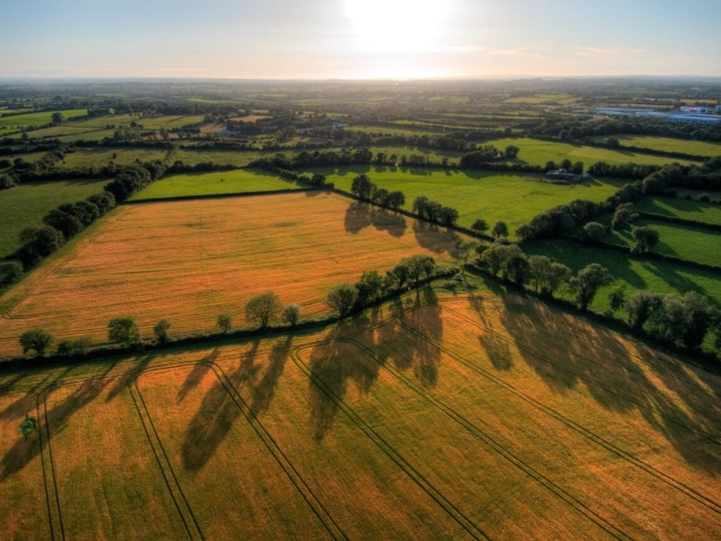 Grain fields near Limerick.