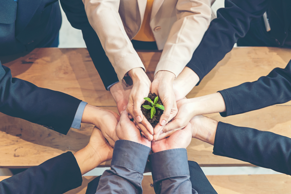 hands of business people holding a plant.