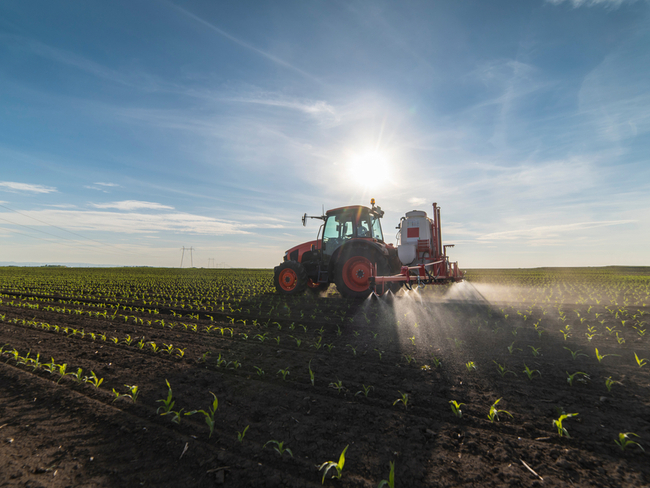 Tractor spraying crops in a field.