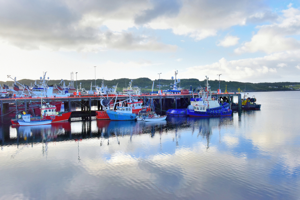 Fishing fleet at Killybegs, Donegal.