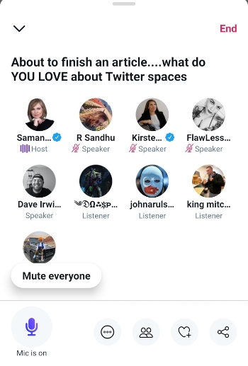 Screenshot of Twitter Spaces.