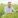 Man in blue shirt examining crops in a field.