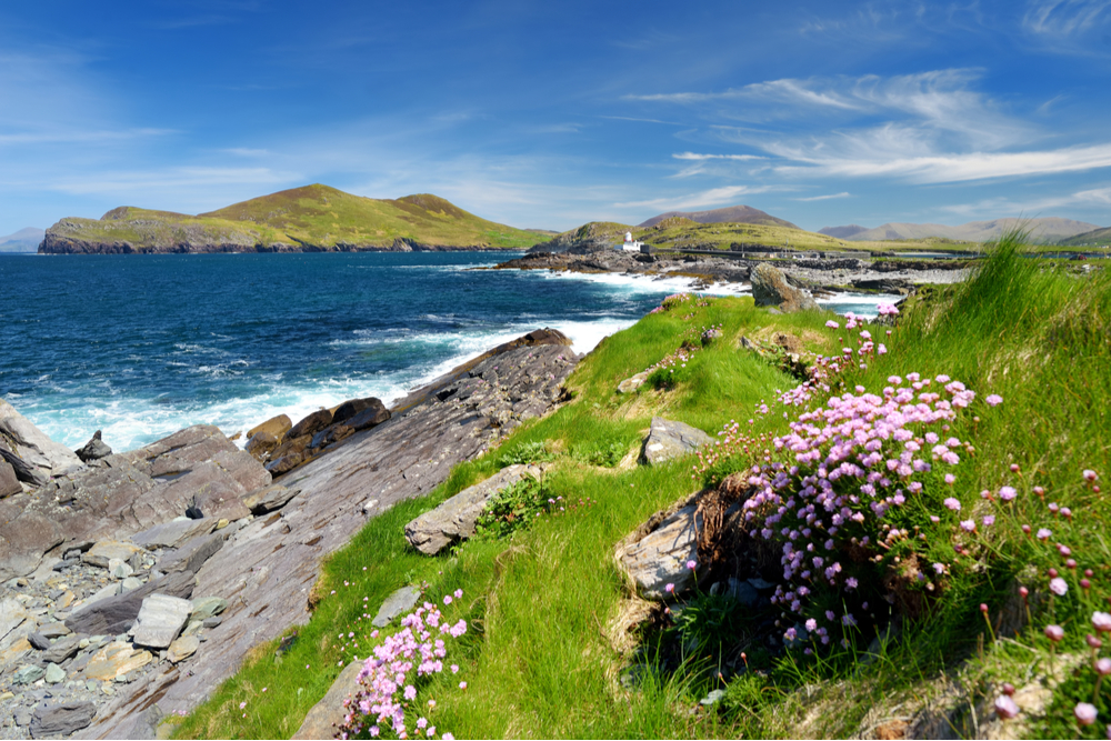 big tourism companies in ireland