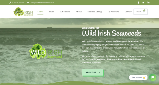 screenshot of Wild Irish Seafoods website.