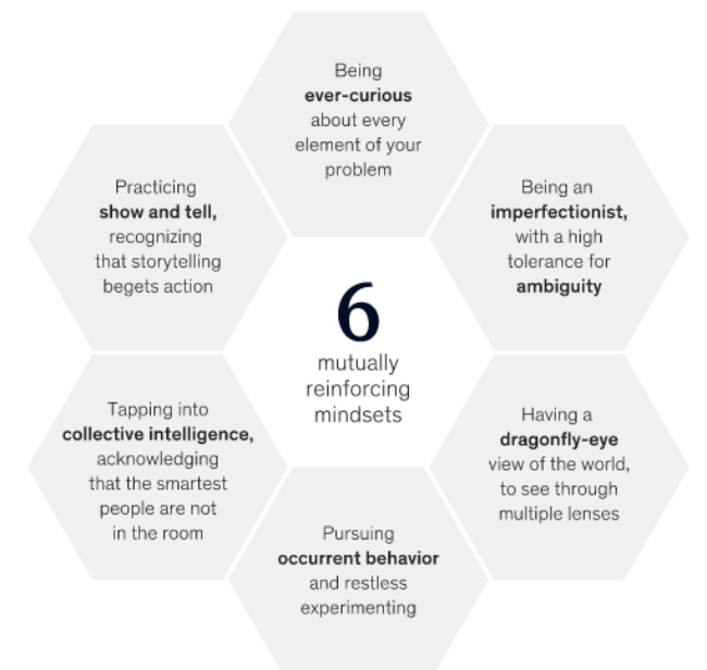 McKinsey mindset model.