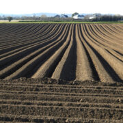 A ploughed field in Ireland.