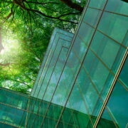 Green tree branches with leaves and sustainable glass building for reducing heat and carbon dioxide.