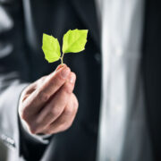 Business man holding a leaf.