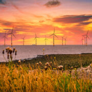 Offshore wind farm off the coast.
