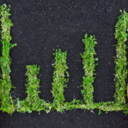 hands holding tree arranged as a green graph.