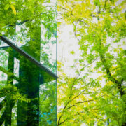 Building beside green trees.