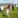 Children running in front of a group of people on a farm.