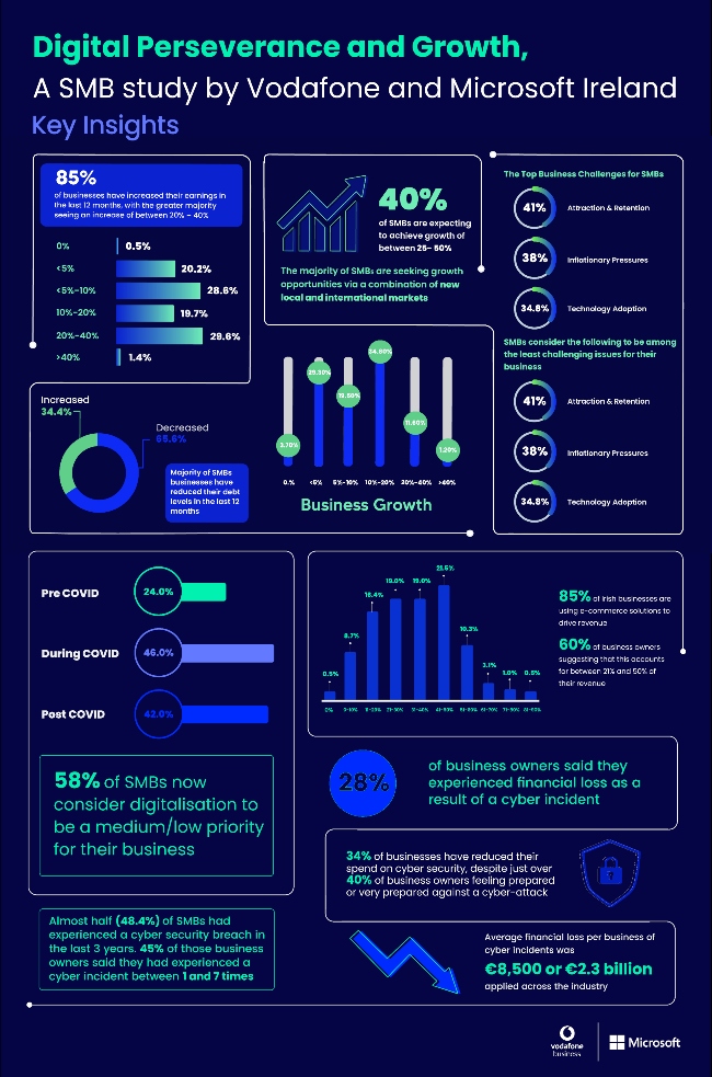 digital perseverence infographic on Irish businesses.