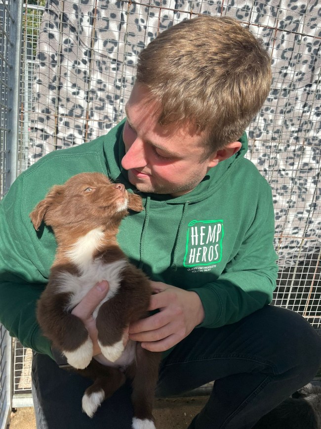 Man in green hoodie playing with puppy.