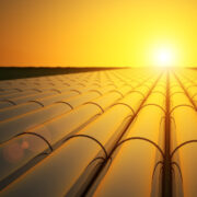 solar farm under yellow sun.