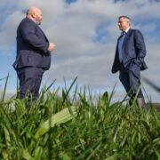 Two men standing in a field.