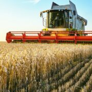 combine harvester in a field under a blue sky.
