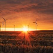 Sun rises over wind farm.