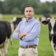 Man standing in a field with cows.