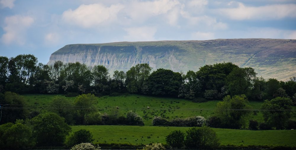 Indicated — Knockbeg West