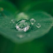 Close-up image of a rain drop on a leaf.