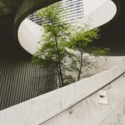 A tree grows up through a concrete building with steps.