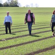 Two men and a woman walking in a field.