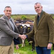 Two men shaking hands in front of cows in a field.