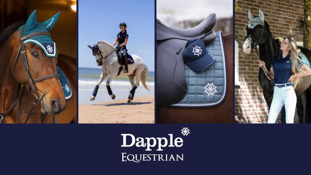 Image of a horse and rider and image of a saddle.