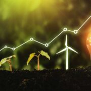Young plants growing in soil beside a wind turbine and a glowing light bulb, overlaid with an upward trend line symbolising sustainable energy growth and efficiency.