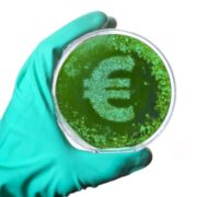 Gloved hand holding a petri dish containing a green microbial culture arranged in the shape of a euro symbol against a white background.