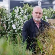 Man seated among tall ornamental grasses in a garden centre, wearing a dark blazer and pink shirt, surrounded by green plants and white flowering shrubs in soft natural light.