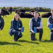 Four people kneeling in a green field holding blue booklets at a farm, with black Angus cattle grazing in the background near a hedgerow and water, marking the launch of the Enviroflex partnership.