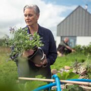 Older adult gardening outdoors, holding a potted plant with purple flowers near a raised vegetable bed beside a rural home.