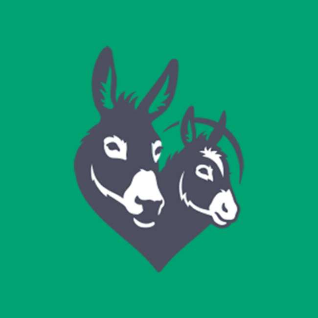 Donkey Sanctuary Ireland logo.