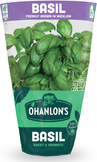 O'Hanlon's Herbs basil.